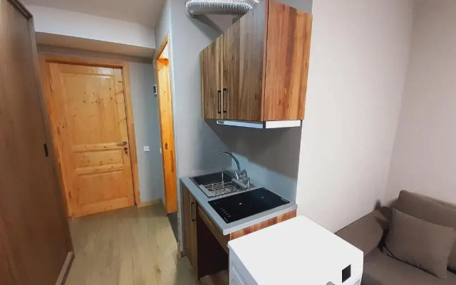 Bakuriani, Didveli Gallery apatments A-307.