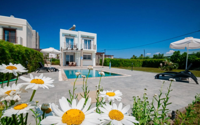 Petra Villas