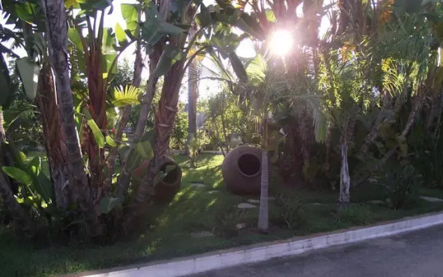 Quinta Africana
