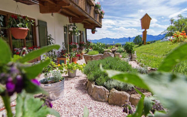 moor&mehr Bio Kurhotel Bad Kohlgrub