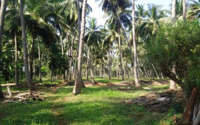 Cloud 9 Stays - Mettupalayam