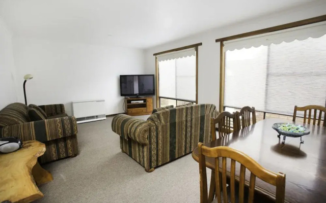 Bindi - Pet Friendly