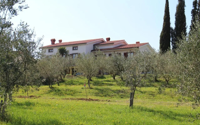 Med oljkami Apartment