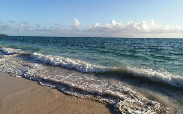 Riviera Punta Cana Eco Travelers