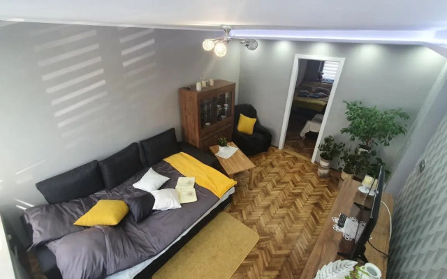 Apartament Park Saski