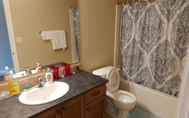 Peaceful and Spacious Lake View