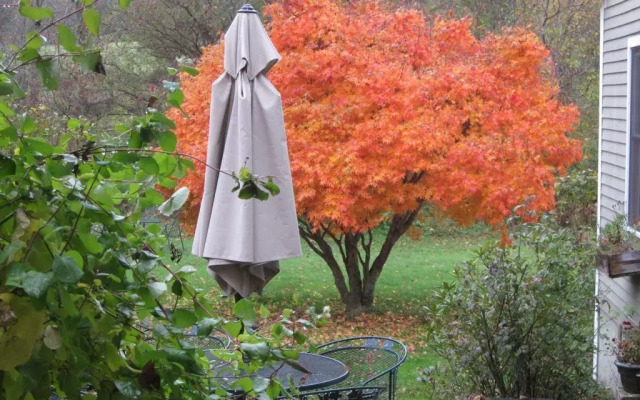 Ranney-Crawford House Bed and Breakfast