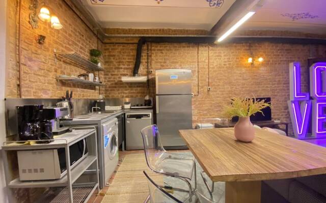 Centrally Located Historical Flat in Beyoglu