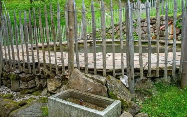 Infanglalm "traunsee"