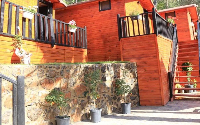 Robina Bungalov