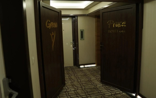 Green Prusa Hotel