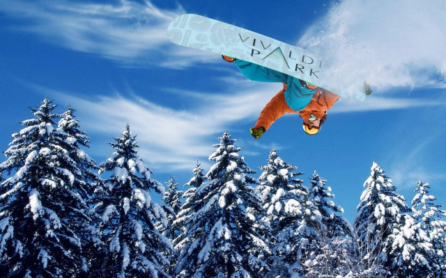 VivaldiPark