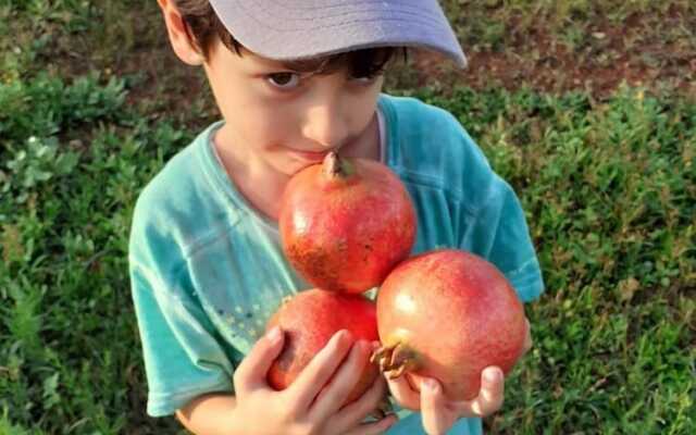 Agriturismo Masseria Galatea