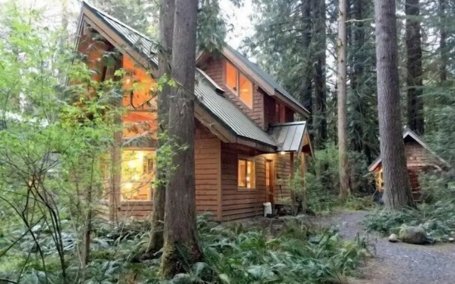 Mt Baker Lodging Cabin 4 - Sleeps 5