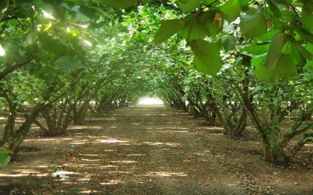 Bed & Breakfast Cascina Bambi