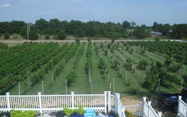 Indian Creek Village Winery