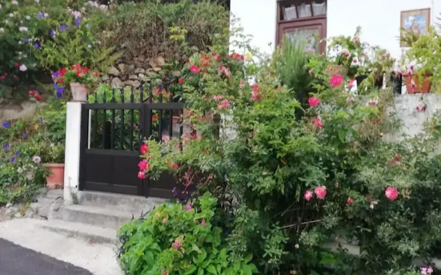 House With 2 Bedrooms in Vallehermoso