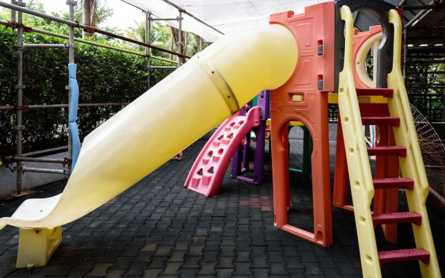 Pineapples Pdc1103 Barra da Tijuca 3 pax