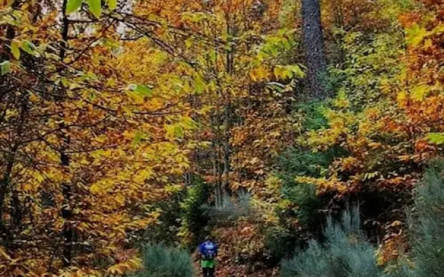 Rustic Terrace2 Bedrooms Farm House