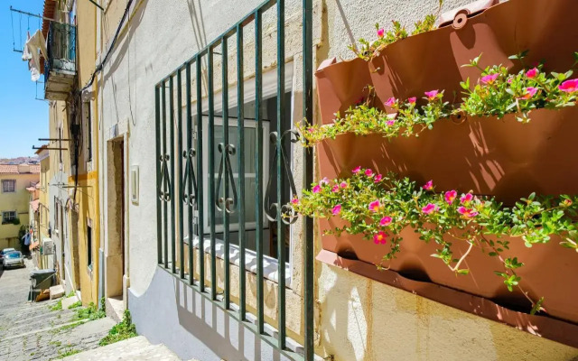NEW! Unique 1 bedroom apartment- Santa Catarina 42
