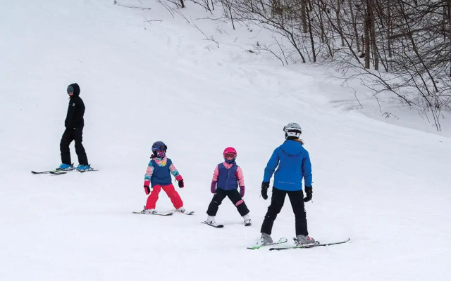 Hockley Valley Resort
