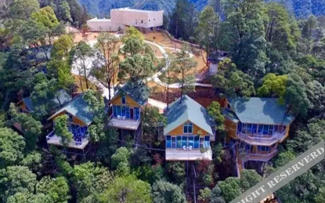 Yinxin'gu Treehouse Hotel