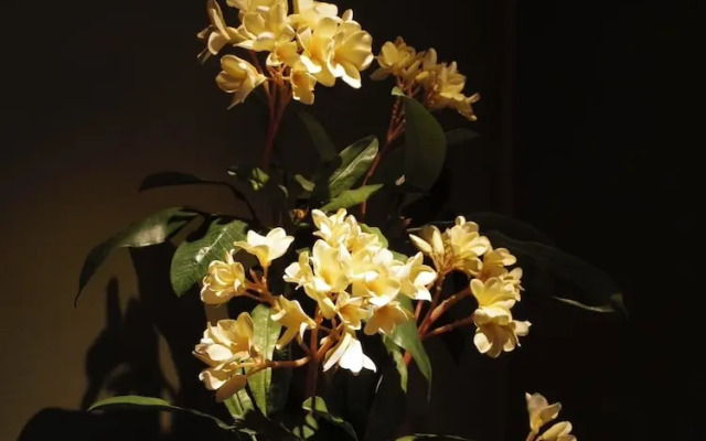 Sato No Hakoniwa Lodge 365