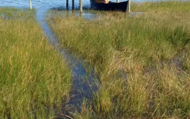 Suite Ibiraquera Master