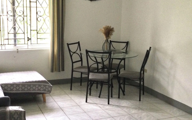 Serenity 2-bed Apartment in Port Antonio