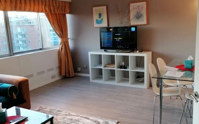 Beautiful and Modern Apartment in North London
