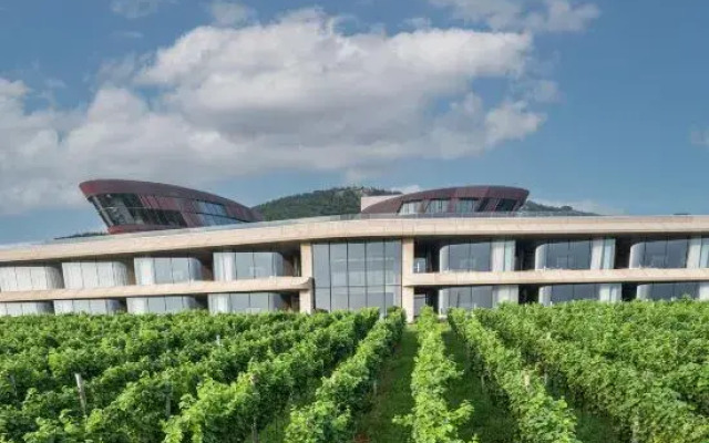 Runaway Cow Winery Retreat