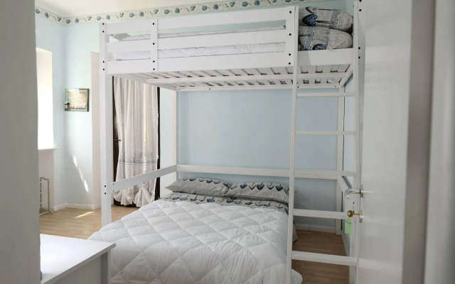 View of the vineyards