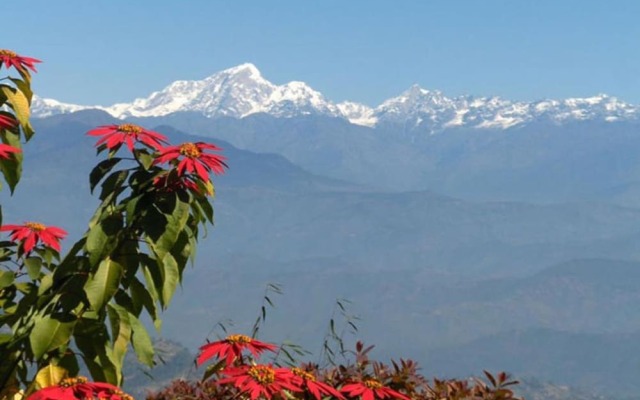 Himalayan Horizon