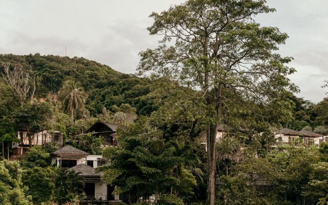 The Mangrove By Blu Monkey