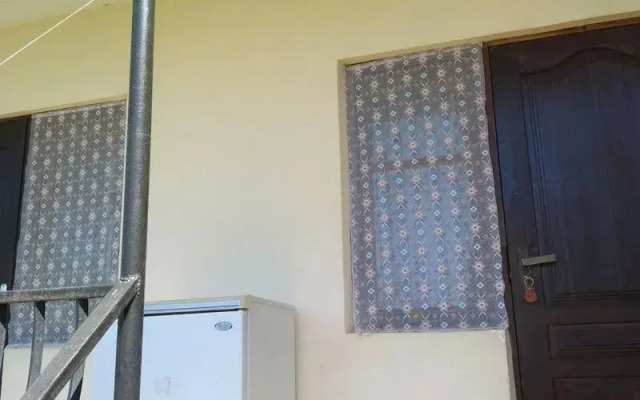 Pod palmoj