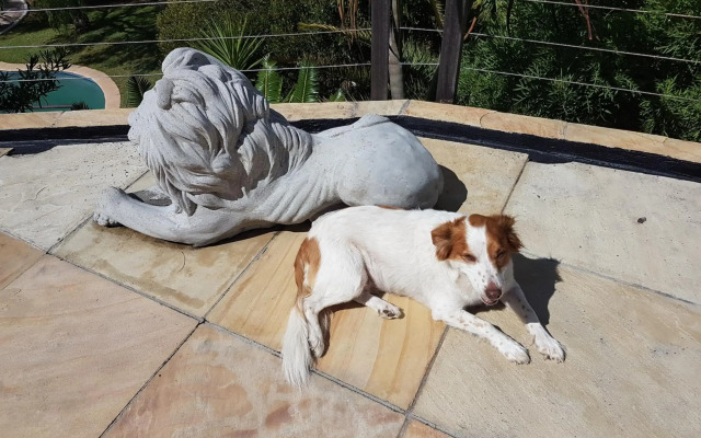 Victorskloof Lodge
