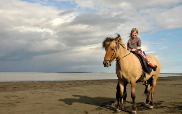 Arabær Holiday Home
