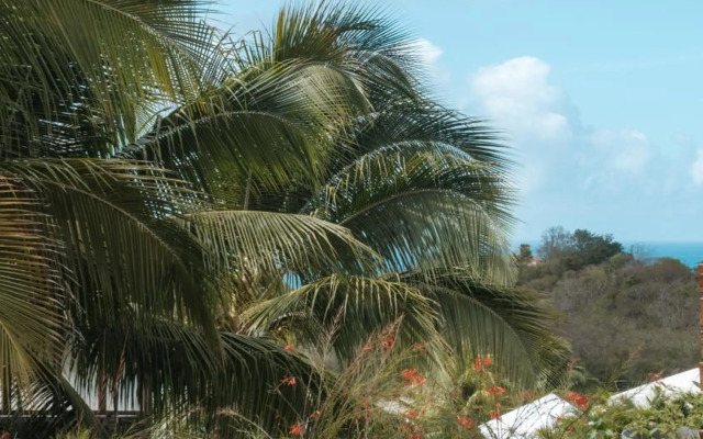 Villa Goyave _ Exotic Villa