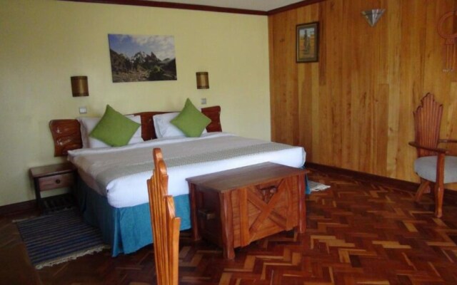The Nelion