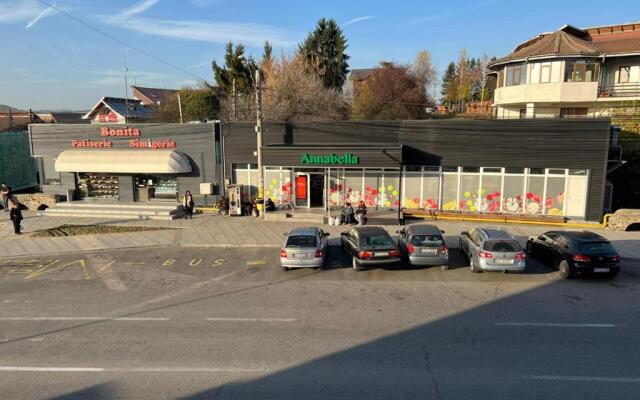 Apartament Centrul Vechi