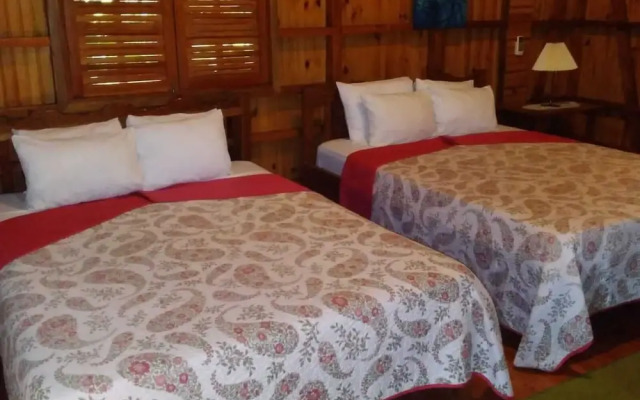 Ciudad Pérdida Ecolodge
