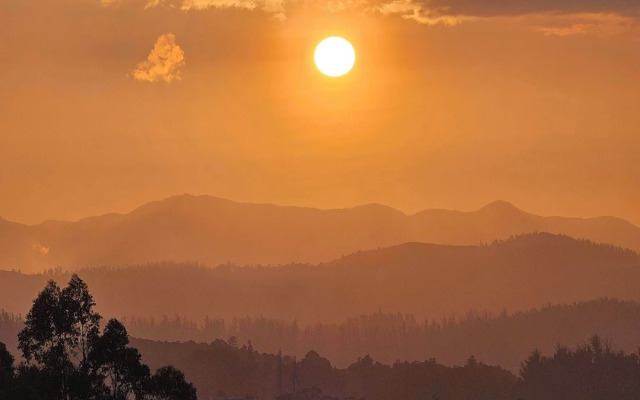 Songs of the Nilgiris