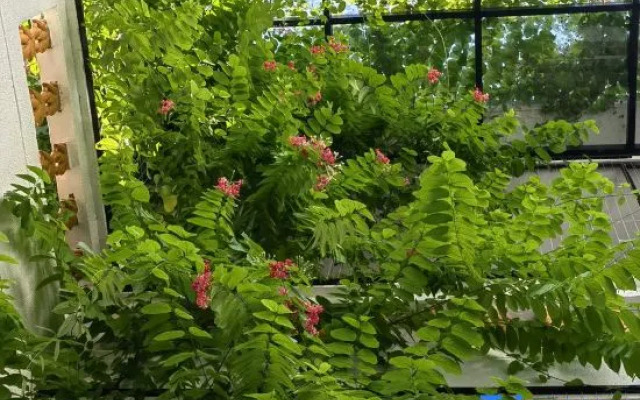 Yali Garden (Chaozhou Ancient City Arch Street Store)