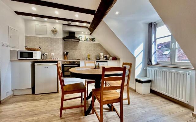 L'Ours de Colmar - Appartements en centre ville