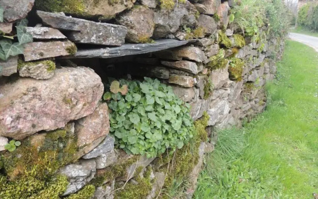 Roulotte La Cardelinha