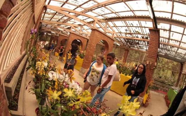 Santos Linda!! Apartment for Business and Leisure.