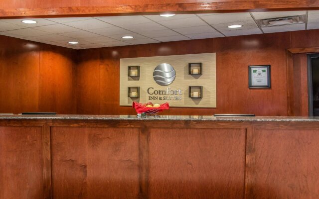 Comfort Inn & Suites