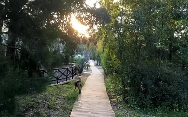 Romantic Private Cabin