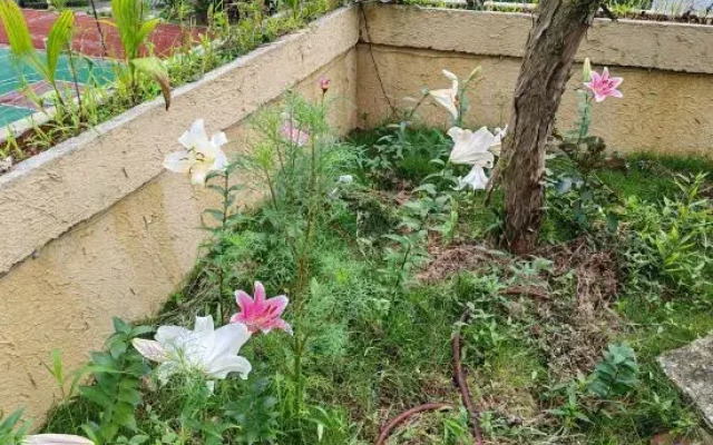Sanqingshan Yinhu Xiaozhu Homestay