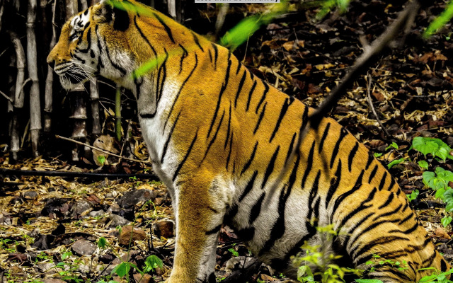 Fabhotel Prime Oasis Blue